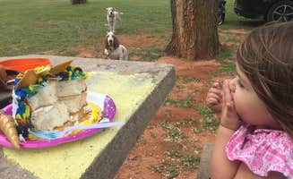 Valerie C.'s photo of camping with pets at Foss State Park Campground in Oklahoma