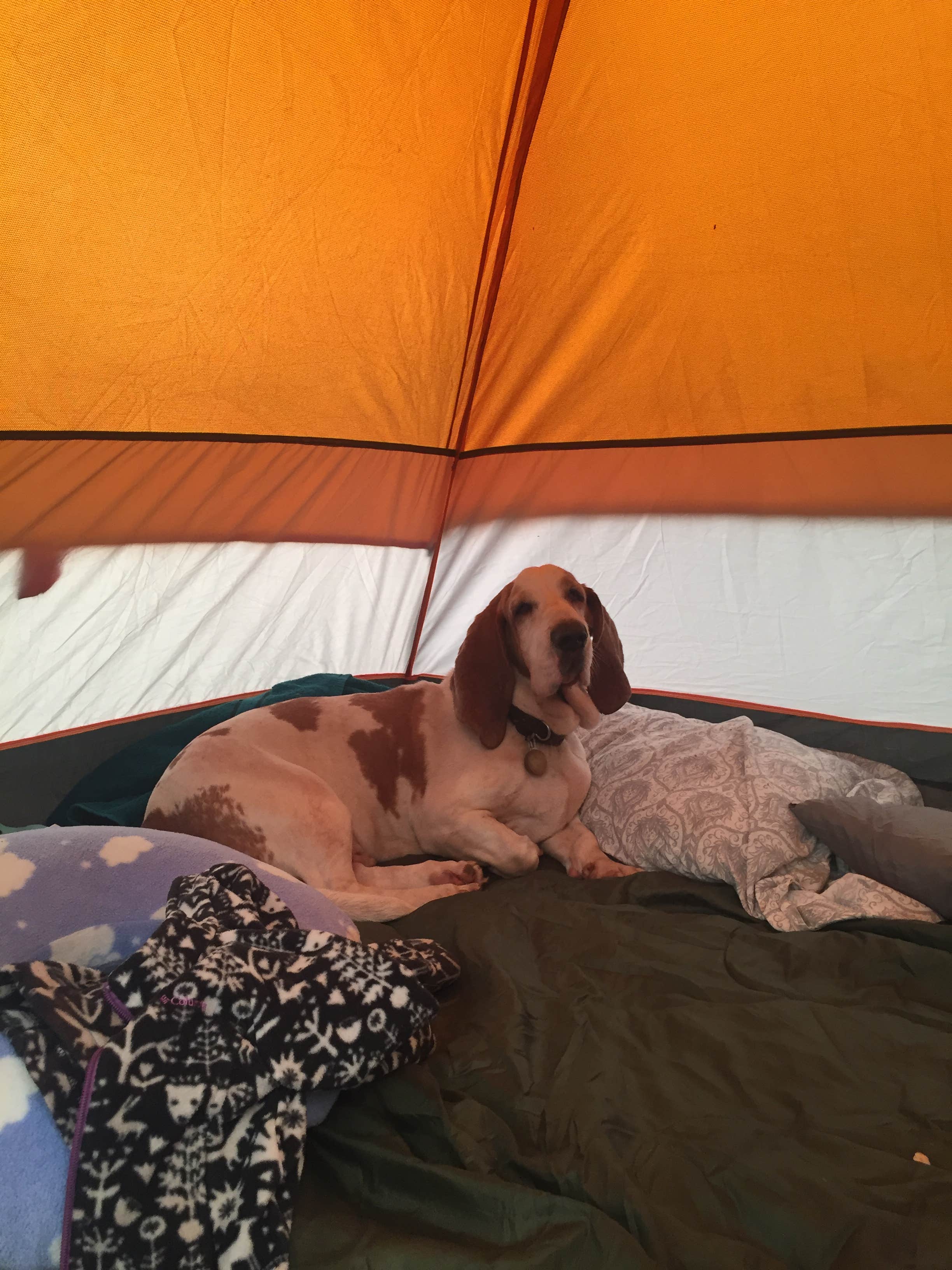 Valerie C.'s photo of glamping accommodations at Foss State Park Campground near Lone Wolf, OK