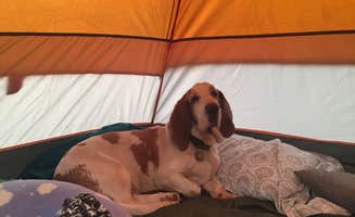 Valerie C.'s photo of glamping accommodations at Foss State Park Campground near Elk City, OK