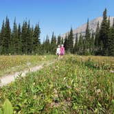 Review photo of Apgar Campground — Glacier National Park by David B., June 30, 2016