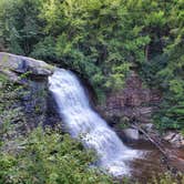 Review photo of Swallow Falls State Park Campground by Dale O., April 29, 2020