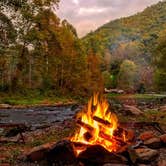 Review photo of Yogi in the smokies by Lisa L., April 29, 2020