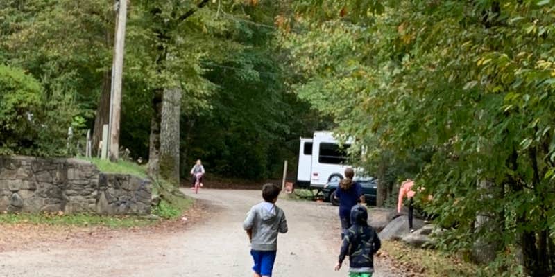 Camper submitted image from Yogi in the smokies