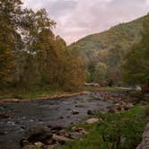 Review photo of Yogi in the smokies by Lisa L., April 29, 2020