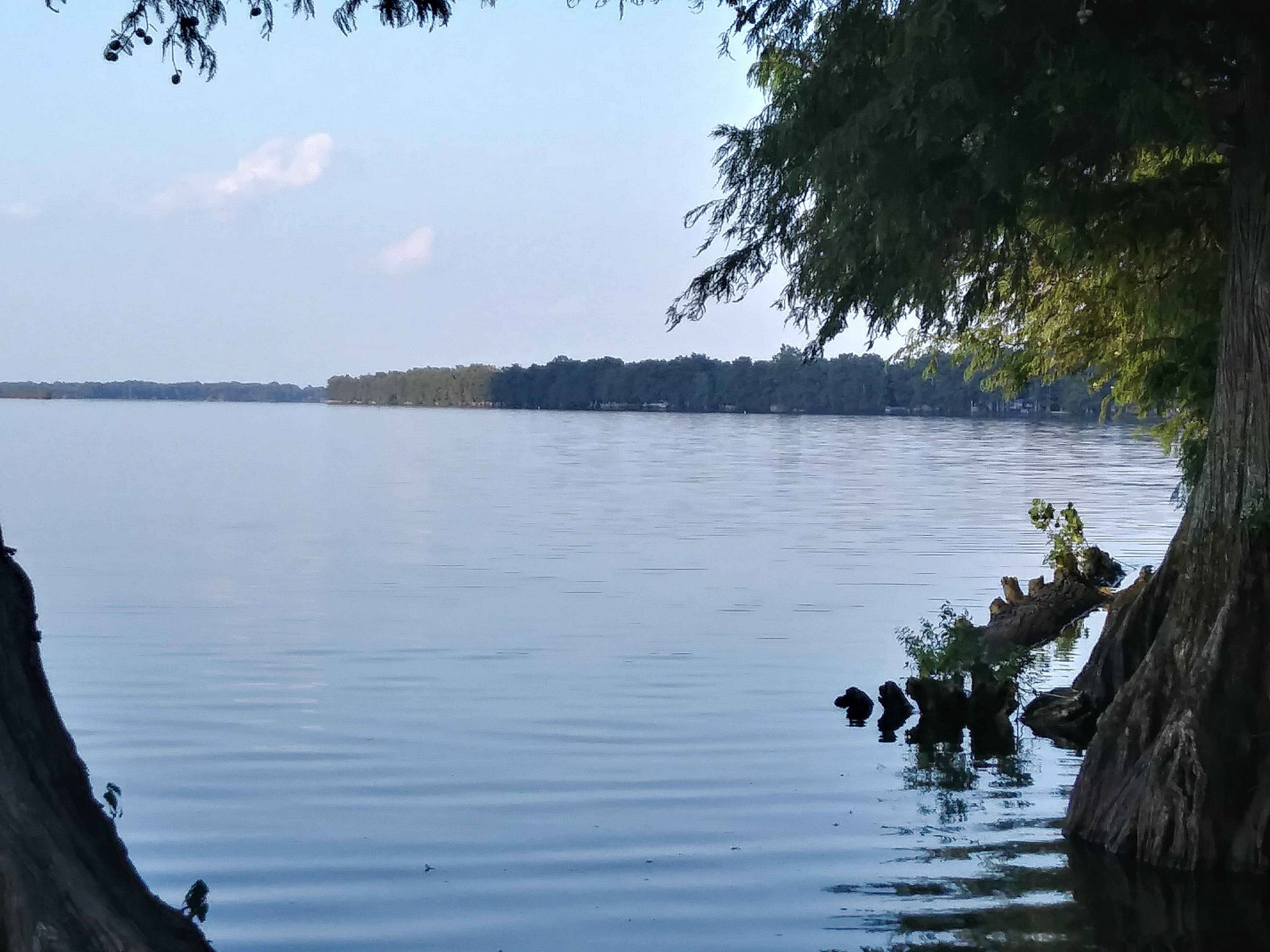 Camper submitted image from Reelfoot Lake State Park Campground - 5