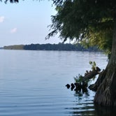 Review photo of Reelfoot Lake State Park Campground by Maria L., September 17, 2017
