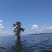 Review photo of Reelfoot Lake State Park Campgrounds by Maria L., September 17, 2017