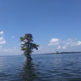 Review photo of Reelfoot Lake State Park Campground by Maria L., September 17, 2017