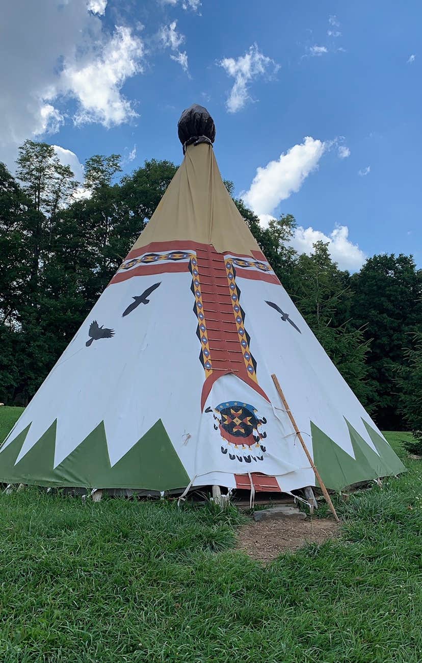Lisa L.'s photo of tent camping at Blue Bear Mountain Camp near Todd, NC