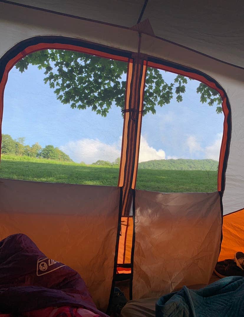 Lisa L.'s photo of tent camping at Blue Bear Mountain Camp near Boone, NC