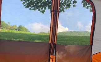 Lisa L.'s photo at Blue Bear Mountain Camp near Blowing Rock, NC