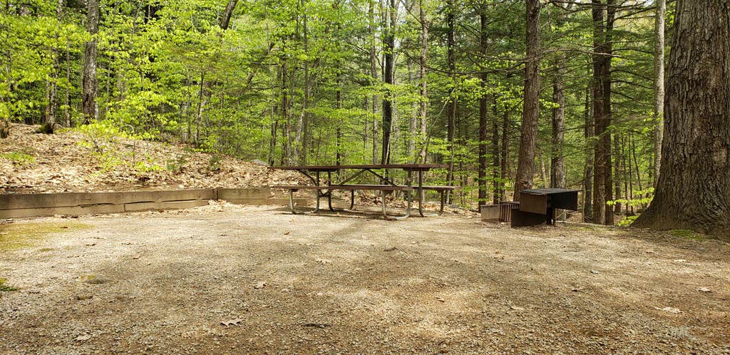Camper-submitted photo at White Ledge Campground near Chocorua, NH