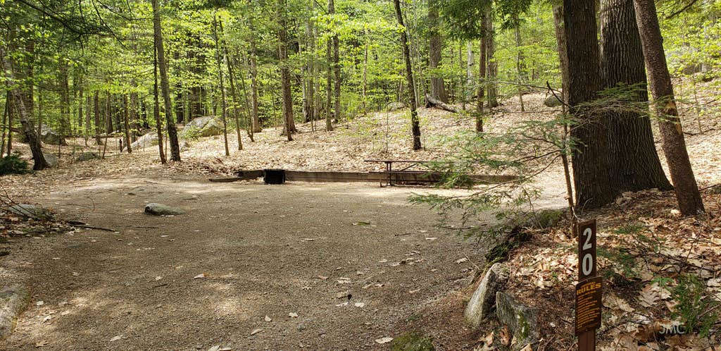 Camper-submitted photo at White Ledge Campground near Chocorua, NH