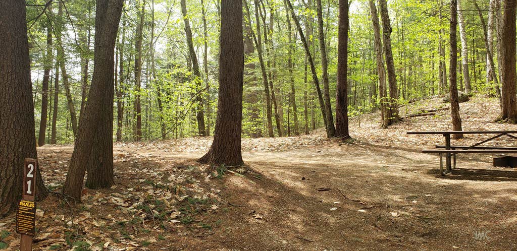 Camper-submitted photo at White Ledge Campground near Chocorua, NH