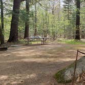 Review photo of White Ledge Campground by Jean C., April 29, 2020