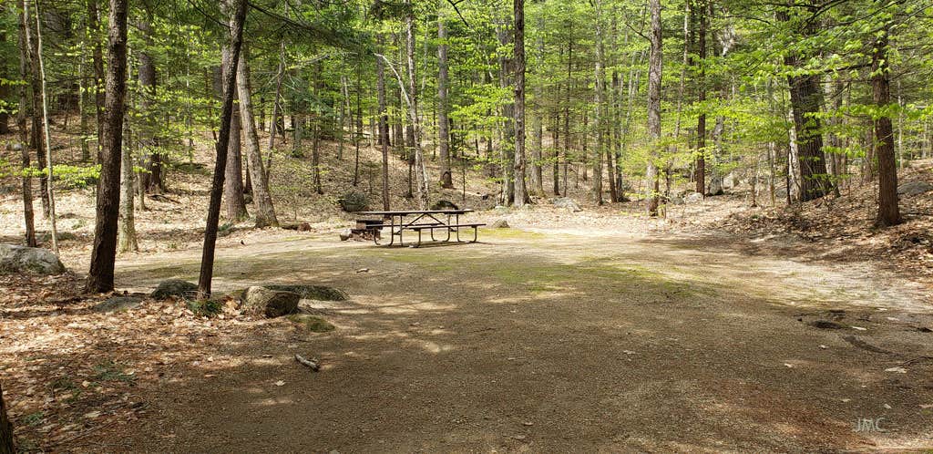 Camper-submitted photo at White Ledge Campground near Chocorua, NH