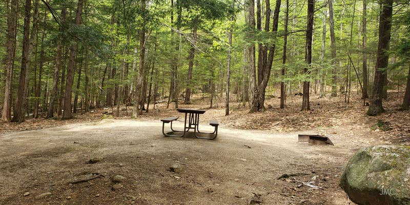 Camper submitted image from White Ledge Campground