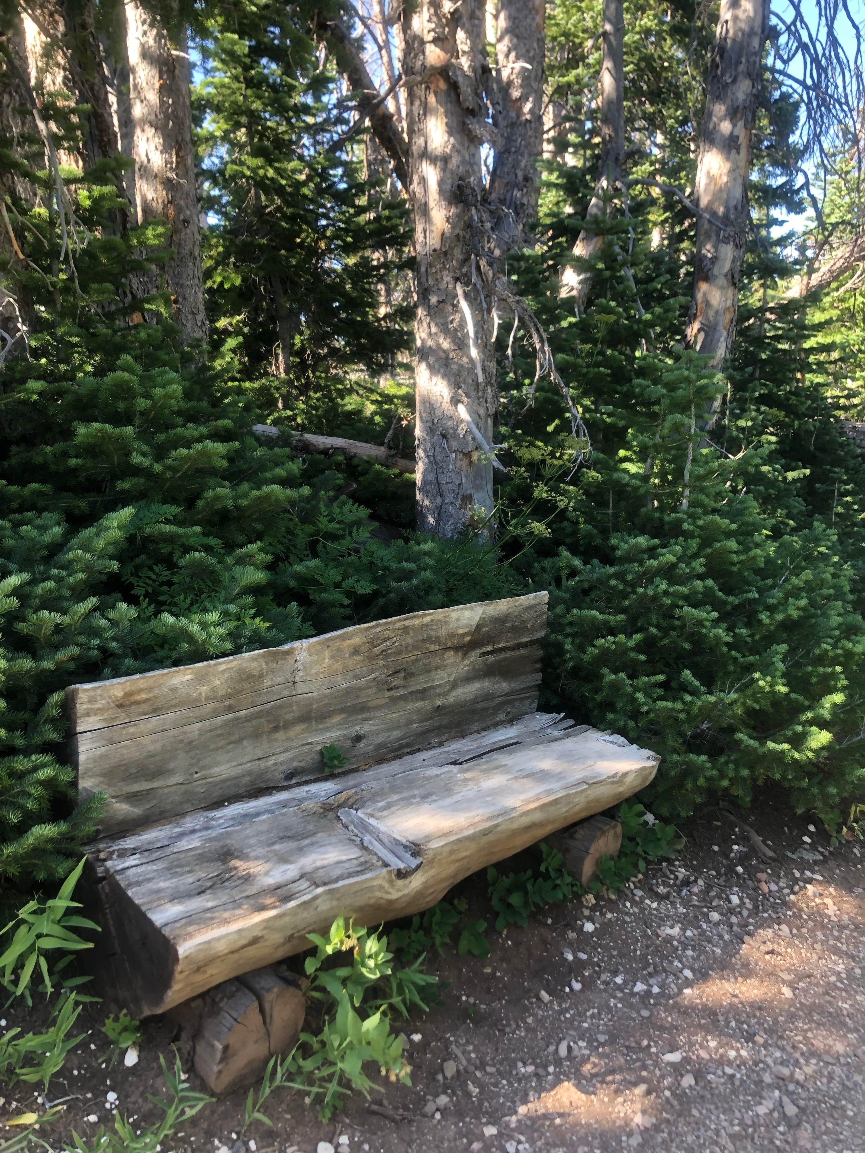 Camper-submitted photo at Point Supreme Campground — Cedar Breaks National Monument near Parowan, UT