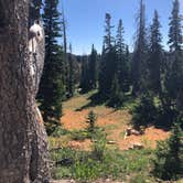 Review photo of Point Supreme Campground — Cedar Breaks National Monument by Marisa P., April 29, 2020