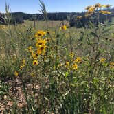 Review photo of Point Supreme Campground — Cedar Breaks National Monument by Marisa P., April 29, 2020