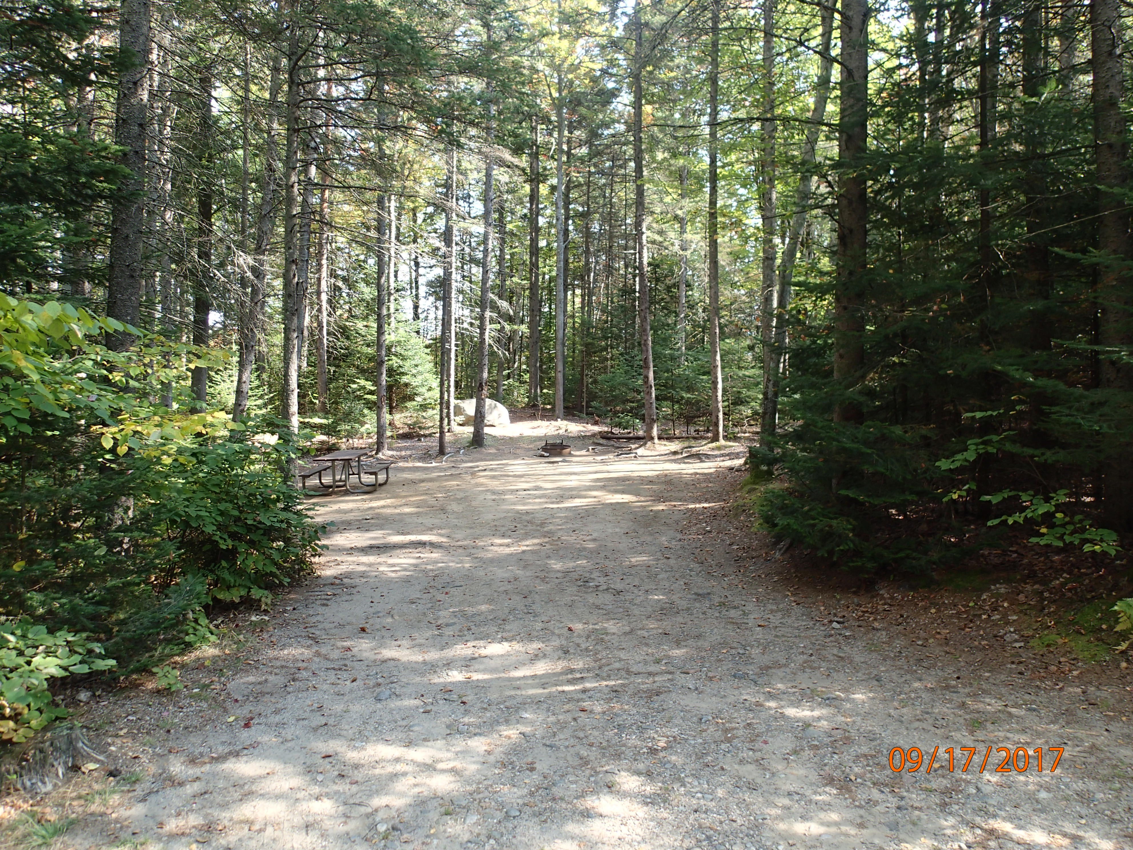 Camper submitted image from Moose Brook State Park Campground - 3