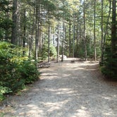Review photo of Moose Brook State Park Campground by Gary G., September 18, 2017