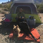 Review photo of Lost Dutchman State Park Campground by Michael F., April 29, 2020