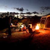 Review photo of Lost Dutchman State Park Campground by Michael F., April 29, 2020