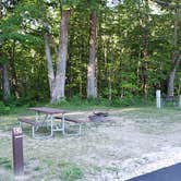 Review photo of Dolly Copp Campground by Jean C., April 29, 2020