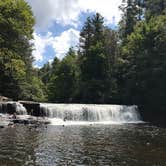 Review photo of Black Forest Family Camping Resort by Lisa L., April 29, 2020