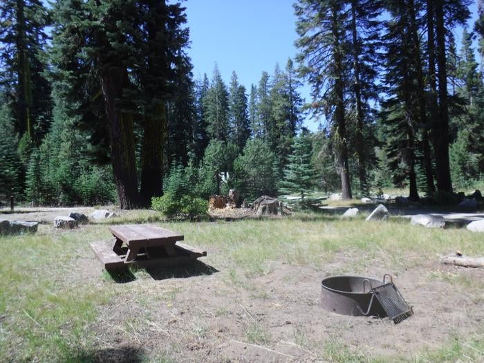 Camper submitted image from Yuba Pass Campground - 3