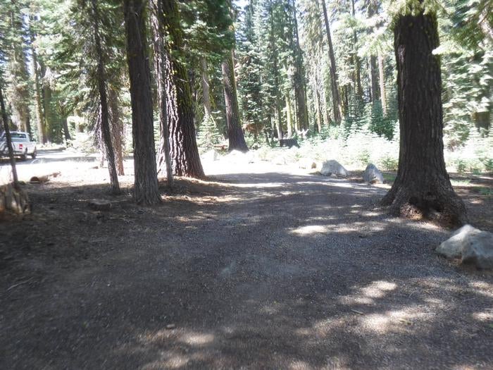 Camper submitted image from Yuba Pass Campground - 5