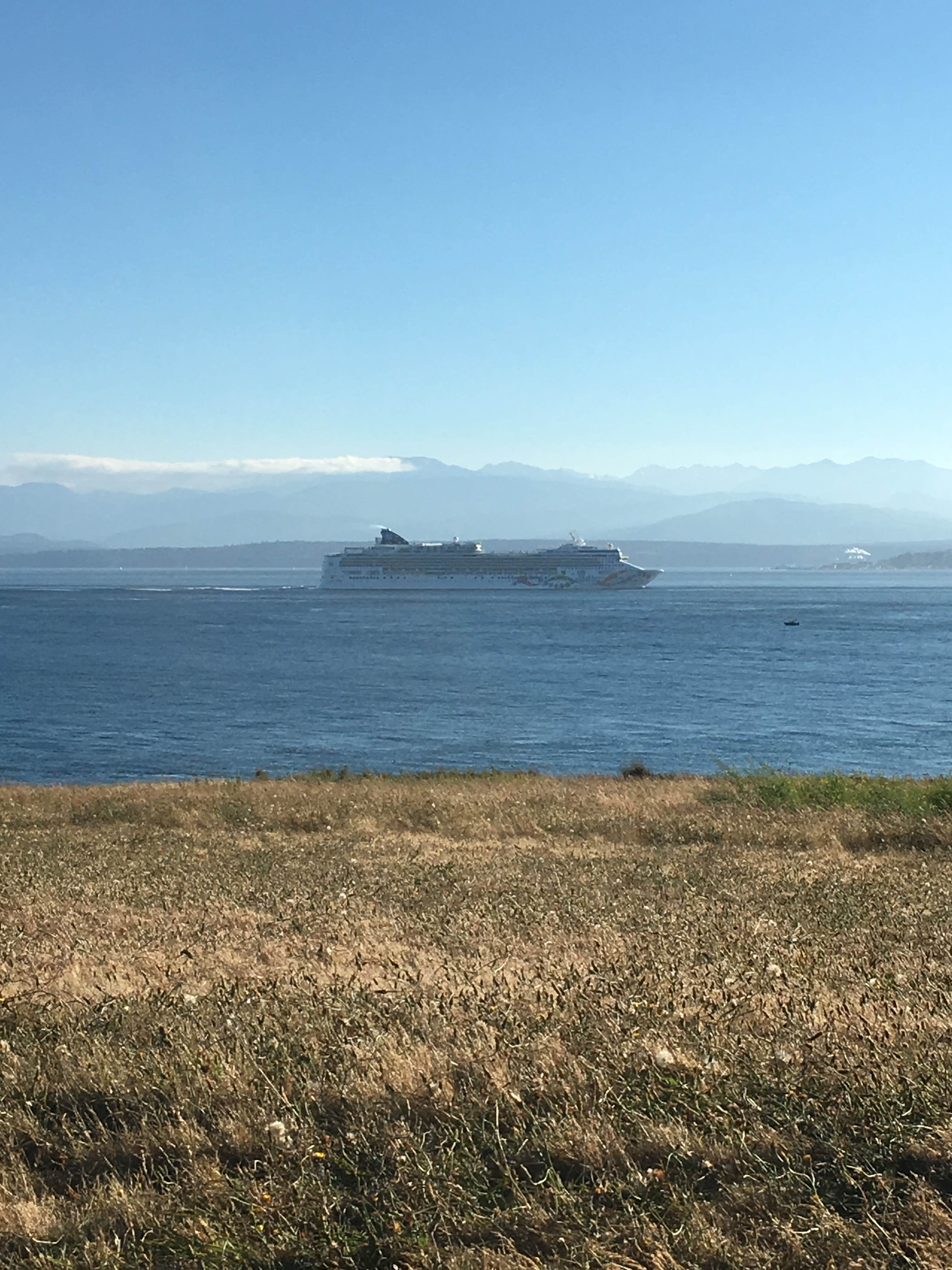 Camper submitted image from Fort Casey Campground - 2