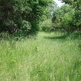 Review photo of Little Wall Lake County Park by Bill M., June 30, 2016