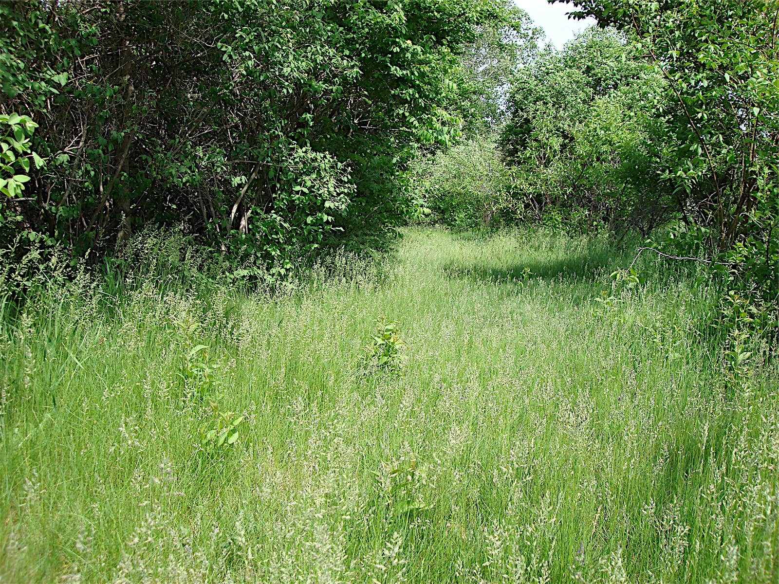 Camper submitted image from Little Wall Lake County Park - 2