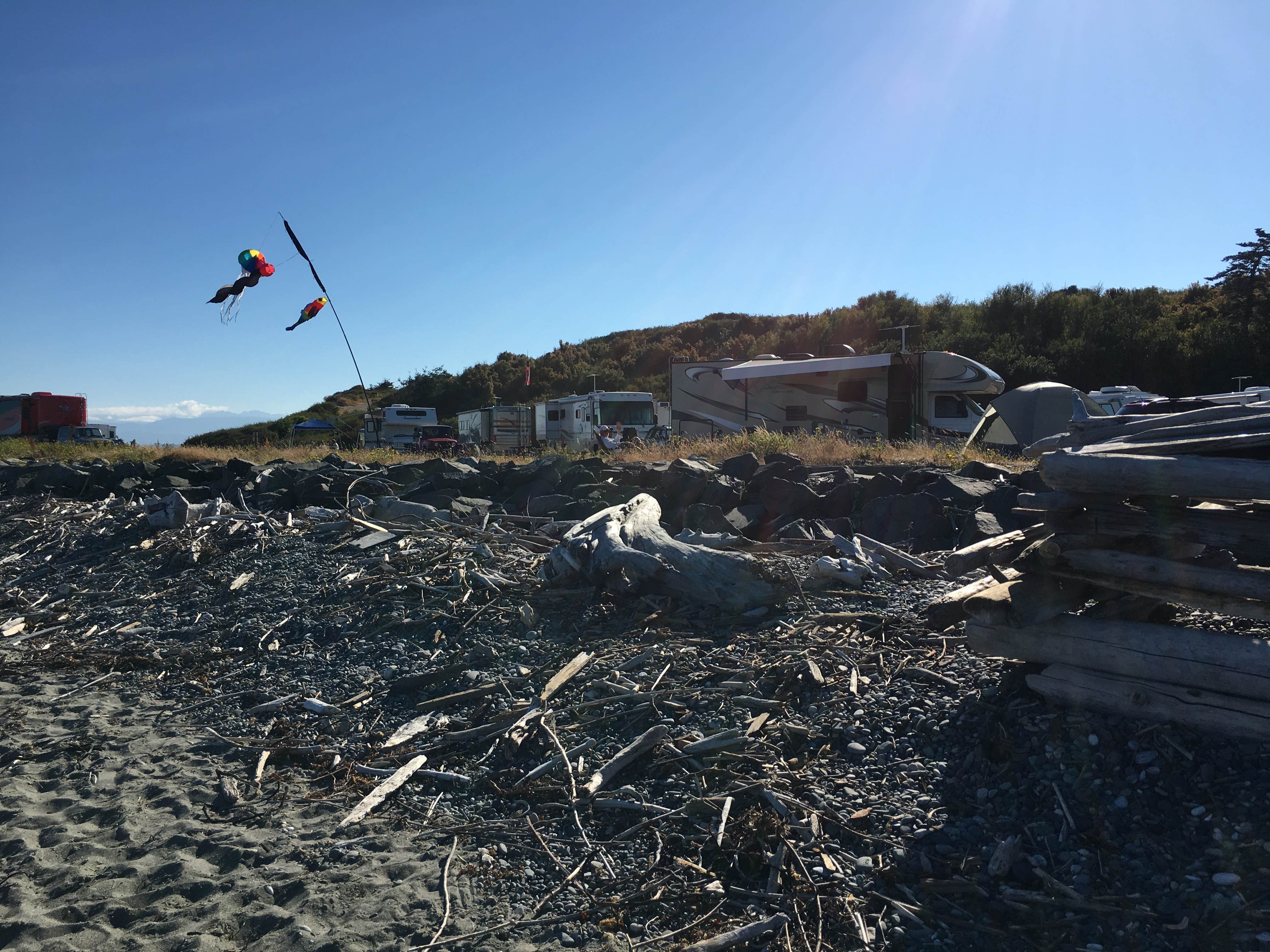 Camper submitted image from Fort Casey Campground - 3