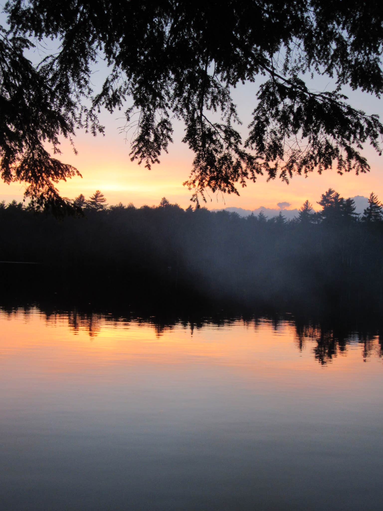 Camper submitted image from Forked Lake Campground - 3