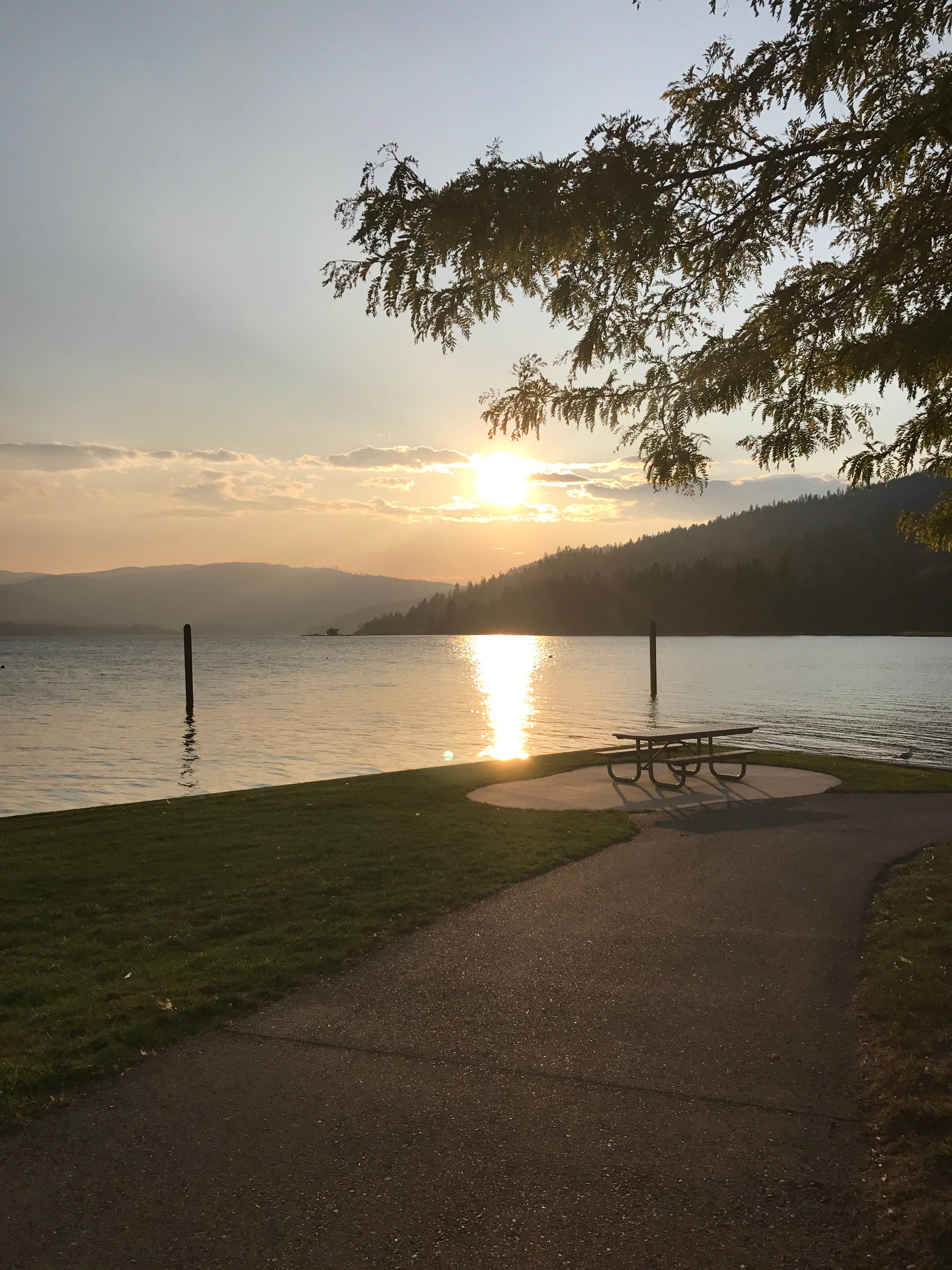 Camper submitted image from Riley Creek Campground - 2