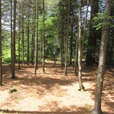 Review photo of Forked Lake Campground by David B., June 30, 2016