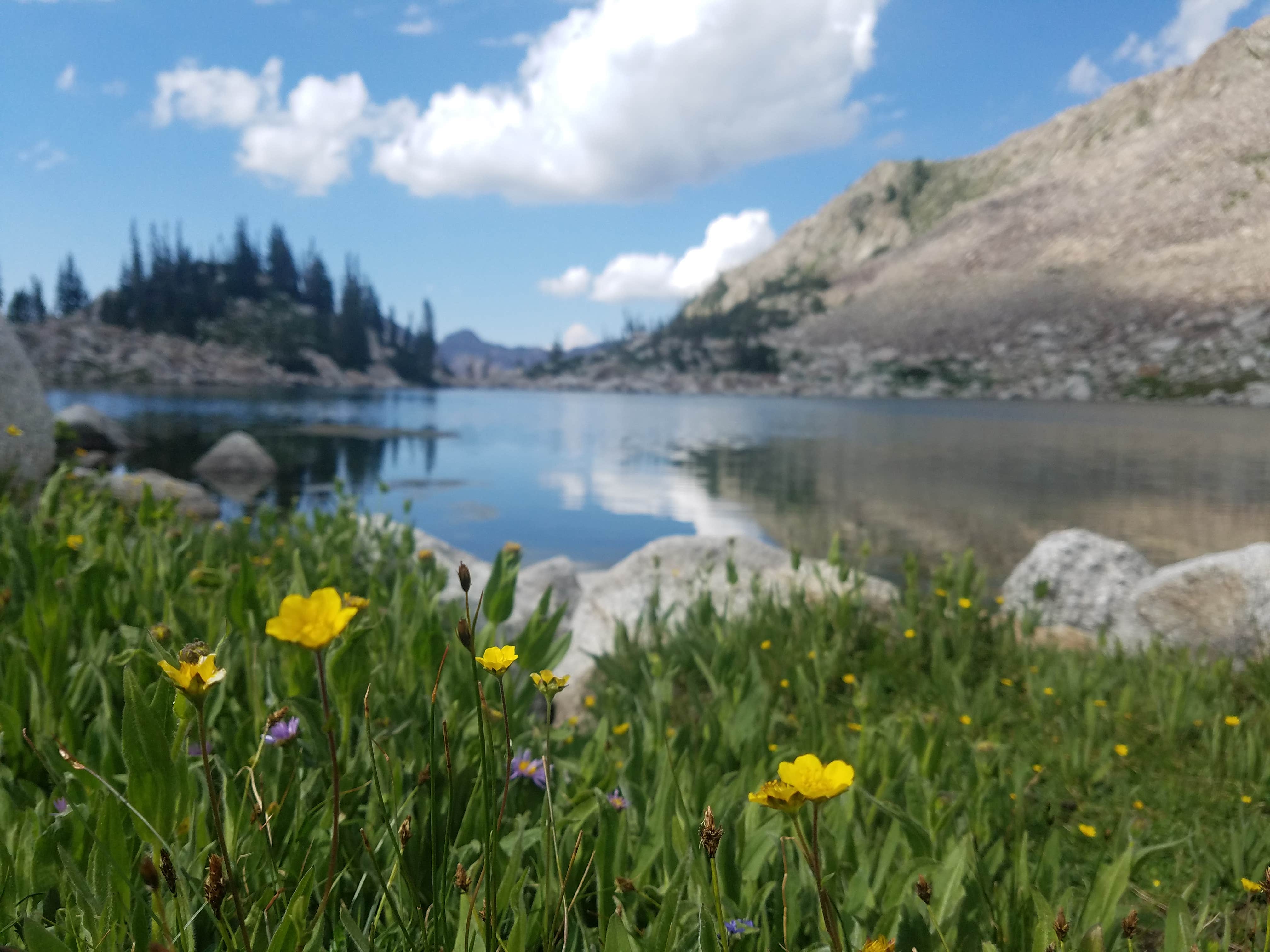 Camper-submitted photo at Red Pine Lake near Cottonwood Heights, UT
