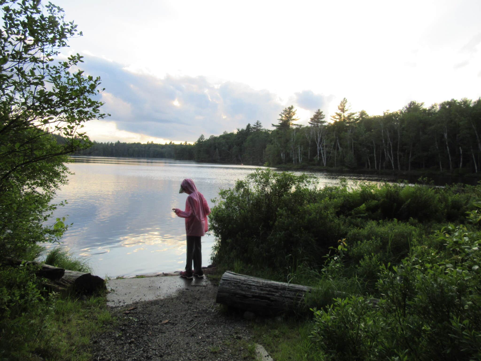 Camper submitted image from Forked Lake Campground - 4