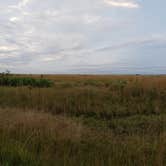 Review photo of Kilpatrick Hammock Campground — Kissimmee Prairie Preserve State Park by Kim H., April 29, 2020