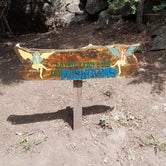 Review photo of Bonito Hollow RV Park & Campground by Bill F., July 27, 2019