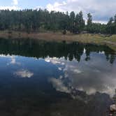 Review photo of Bonito Hollow RV Park & Campground by Bill F., July 27, 2019