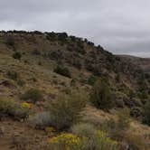 Review photo of South Steens Campground by Jacob F., April 29, 2020