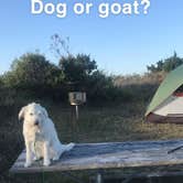 Review photo of Frisco Campground — Cape Hatteras National Seashore by Kelley E., April 29, 2020