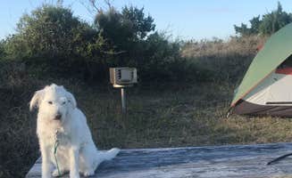 Kelley E.'s photo at Frisco Campground — Cape Hatteras National Seashore near Cape Hatteras National Seashore