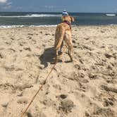 Review photo of Frisco Campground — Cape Hatteras National Seashore by Kelley E., April 29, 2020