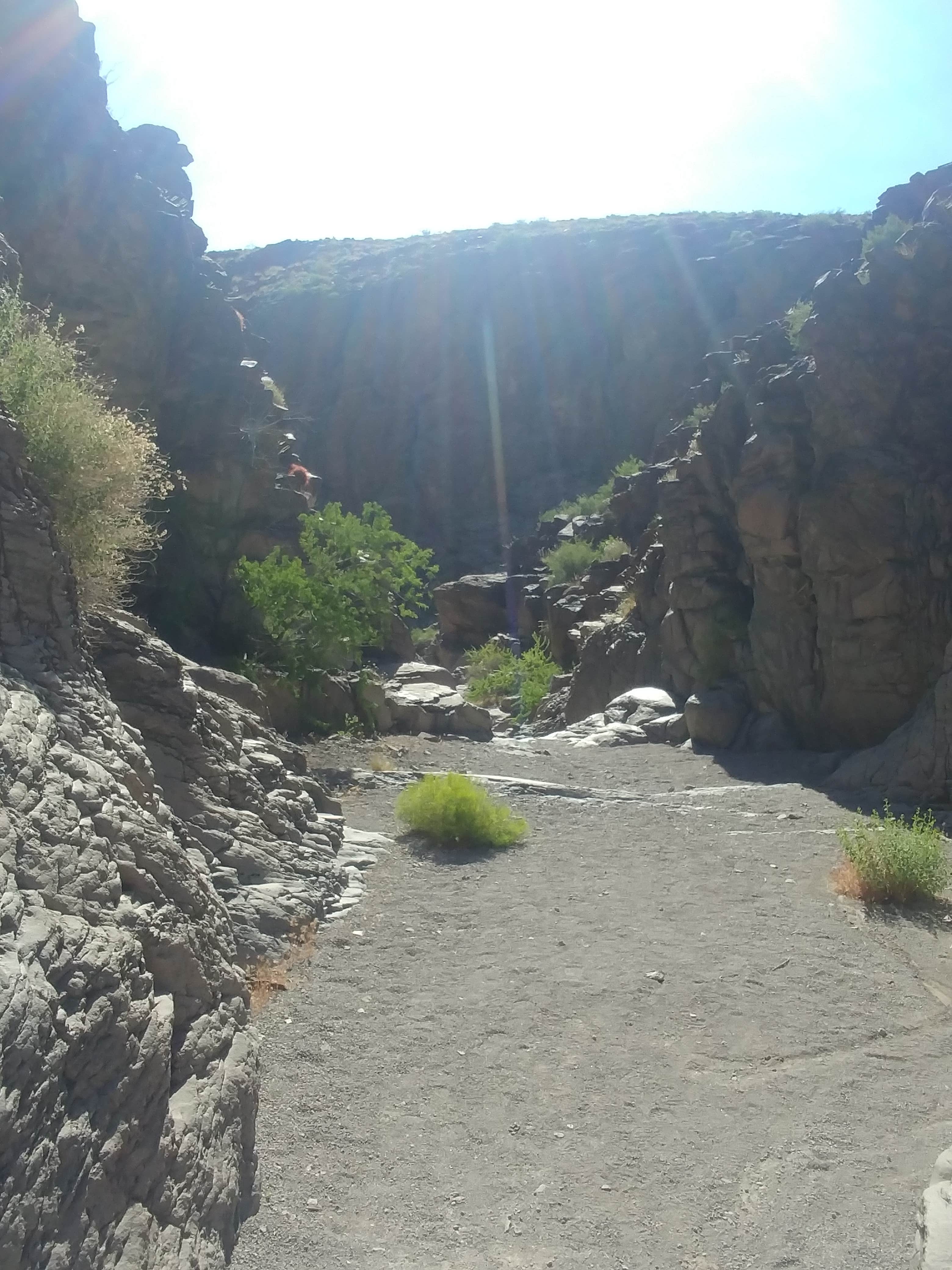 Camper submitted image from Sloan Canyon - Dispersed Camping - 3