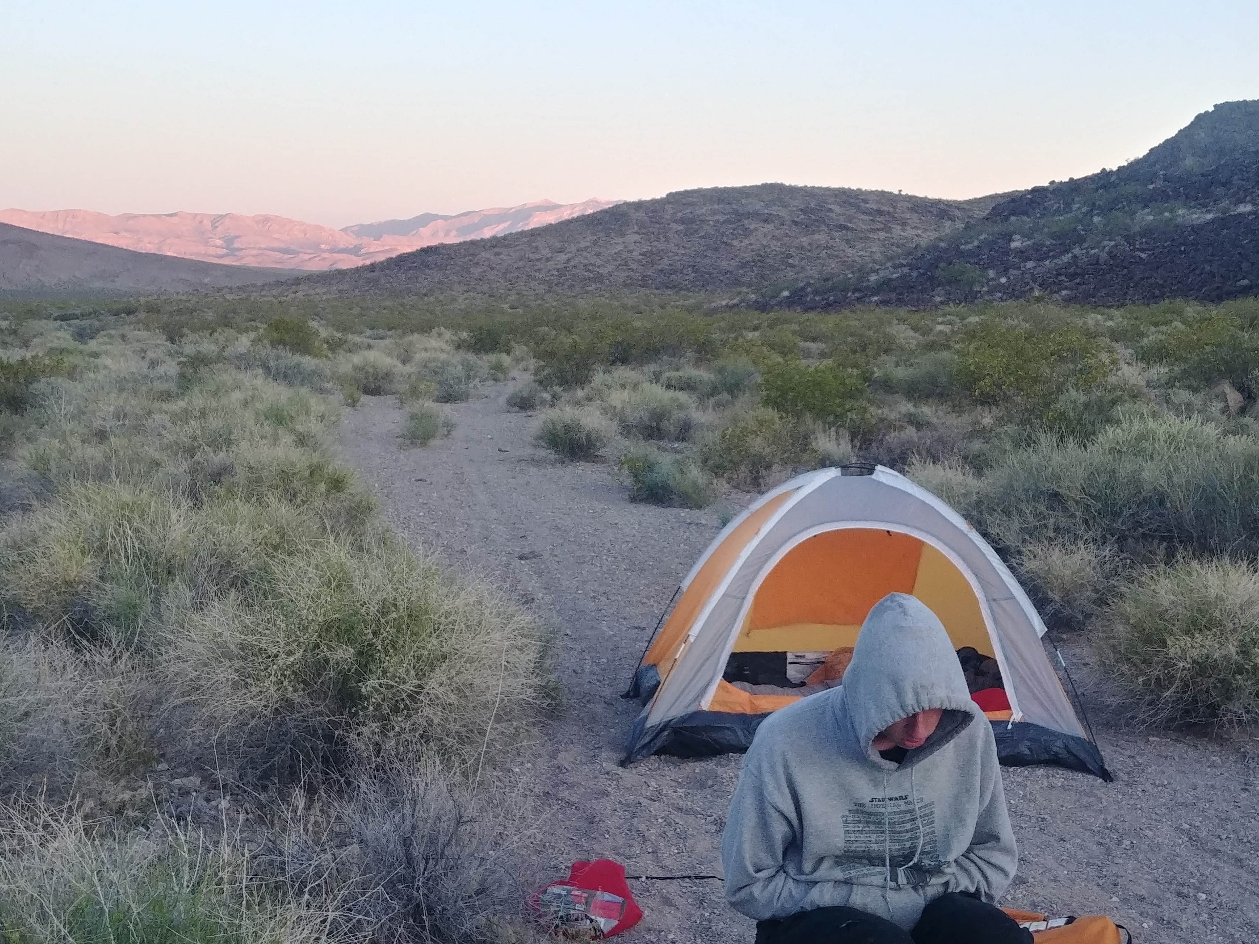 Camper submitted image from Sloan Canyon - Dispersed Camping - 5